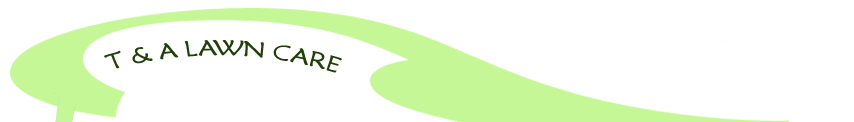 T & A Lawn Care